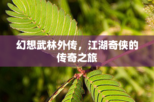 幻想武林外传，江湖奇侠的传奇之旅