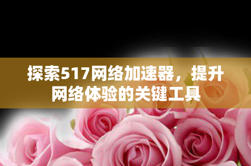 探索517网络加速器，提升网络体验的关键工具