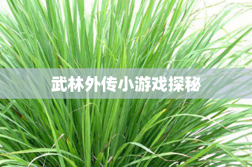 武林外传小游戏探秘