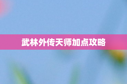 武林外传天师加点攻略