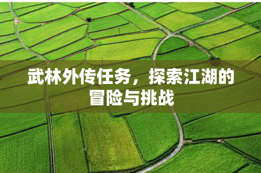 武林外传任务，探索江湖的冒险与挑战