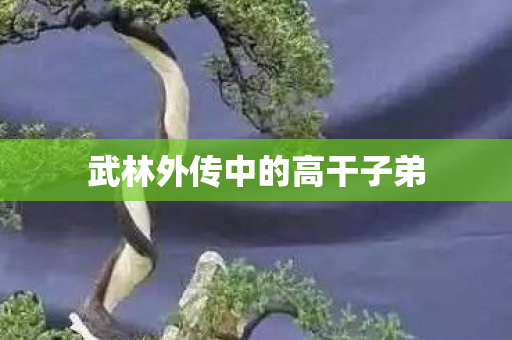 武林外传中的高干子弟