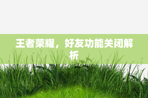王者荣耀，好友功能关闭解析