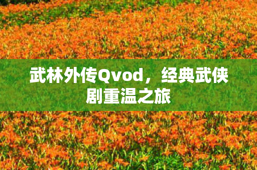 武林外传Qvod，经典武侠剧重温之旅