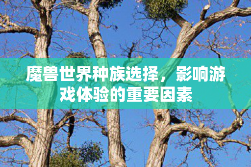 魔兽世界种族选择，影响游戏体验的重要因素