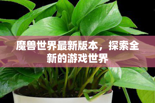 魔兽世界最新版本，探索全新的游戏世界