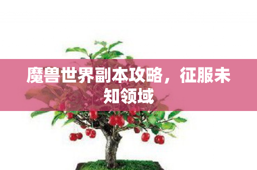魔兽世界副本攻略，征服未知领域