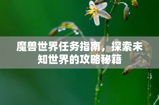 魔兽世界任务指南,探索未知世界的攻略秘籍 魔兽世界任务指南,探索未知世界的攻略秘籍