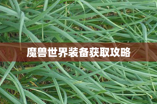 魔兽世界装备获取攻略 魔兽世界装备获取攻略