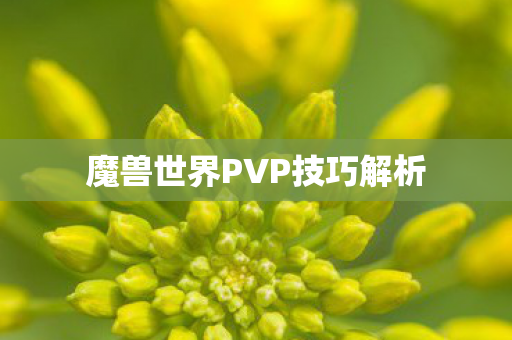魔兽世界PVP技巧解析