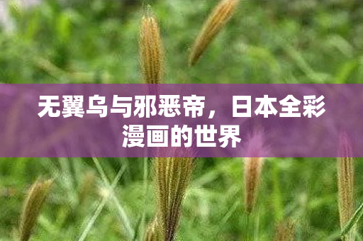 无翼乌与邪恶帝，日本全彩漫画的世界