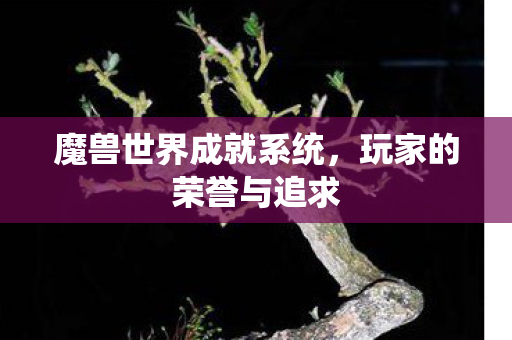 魔兽世界成就系统，玩家的荣誉与追求