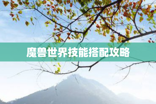 魔兽世界技能搭配攻略