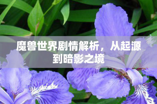 魔兽世界剧情解析，从起源到暗影之境
