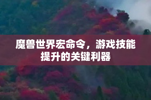 魔兽世界宏命令，游戏技能提升的关键利器
