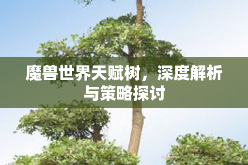 魔兽世界天赋树，深度解析与策略探讨