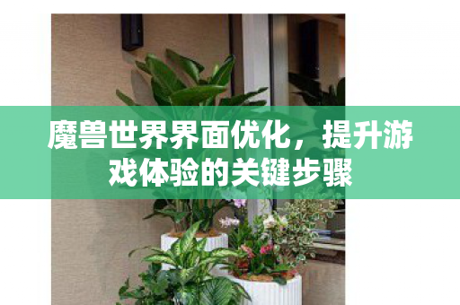 魔兽世界界面优化，提升游戏体验的关键步骤
