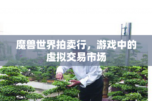 魔兽世界拍卖行，游戏中的虚拟交易市场