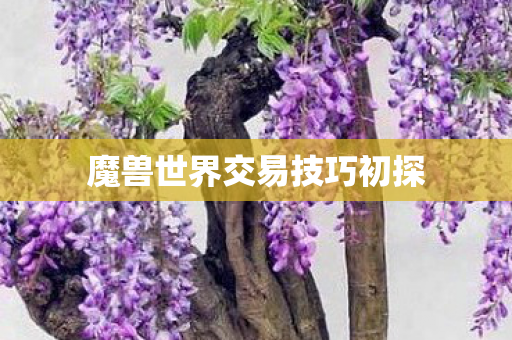 魔兽世界交易技巧初探 魔兽世界交易技巧初探