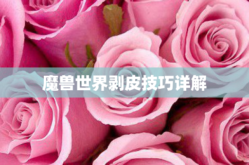 魔兽世界剥皮技巧详解