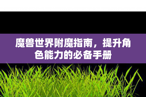 魔兽世界附魔指南，提升角色能力的必备手册