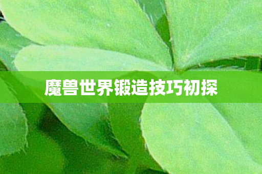 魔兽世界锻造技巧初探