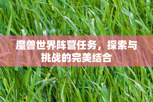 魔兽世界阵营任务，探索与挑战的完美结合