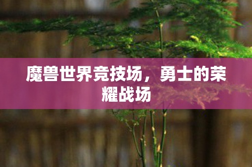 魔兽世界竞技场，勇士的荣耀战场
