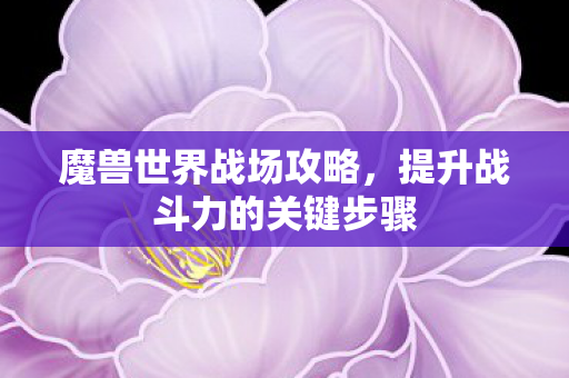 魔兽世界战场攻略，提升战斗力的关键步骤