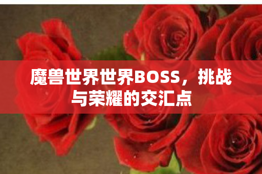 魔兽世界世界BOSS，挑战与荣耀的交汇点
