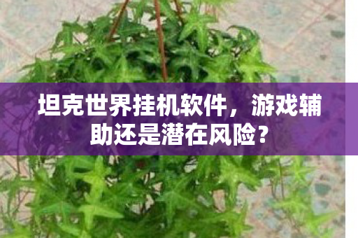 坦克世界挂机软件，游戏辅助还是潜在风险？