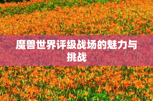 魔兽世界评级战场的魅力与挑战
