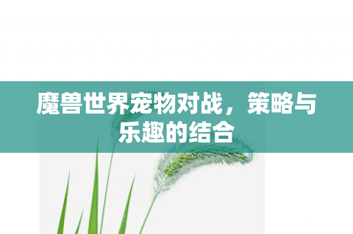 魔兽世界宠物对战，策略与乐趣的结合