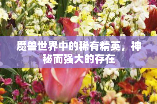 魔兽世界中的稀有精英，神秘而强大的存在