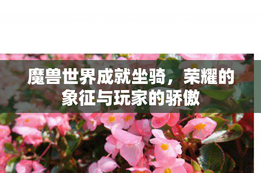魔兽世界成就坐骑，荣耀的象征与玩家的骄傲