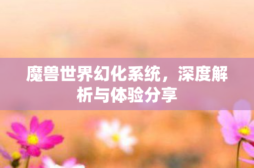 魔兽世界幻化系统，深度解析与体验分享