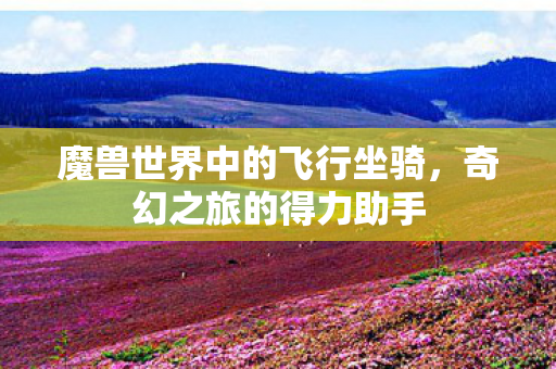 魔兽世界中的飞行坐骑,奇幻之旅的得力助手 魔兽世界中的飞行坐骑,奇幻之旅的得力助手