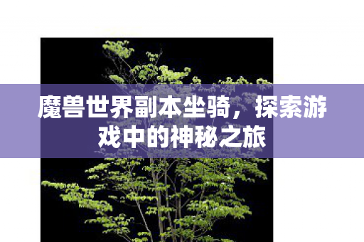 魔兽世界副本坐骑，探索游戏中的神秘之旅