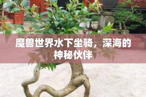 魔兽世界水下坐骑，深海的神秘伙伴