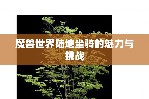 魔兽世界陆地坐骑的魅力与挑战