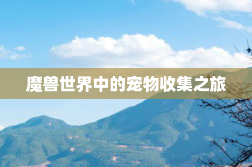 魔兽世界中的宠物收集之旅