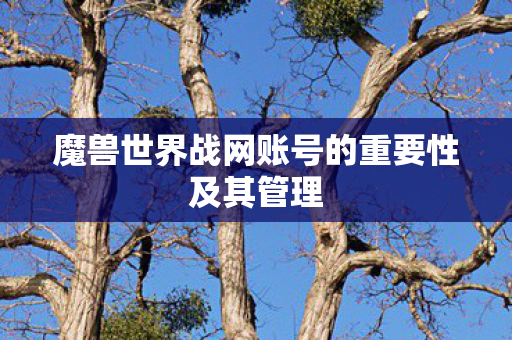 魔兽世界战网账号的重要性及其管理