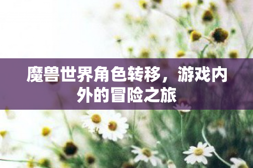 魔兽世界角色转移，游戏内外的冒险之旅