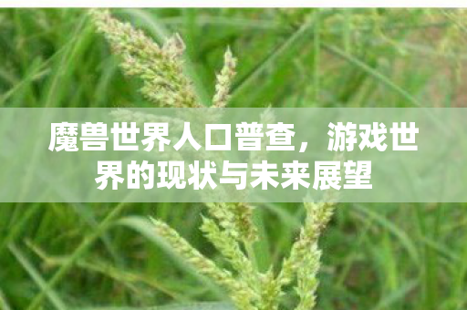 魔兽世界人口普查,游戏世界的现状与未来展望 魔兽世界人口普查,游戏世界的现状与未来展望