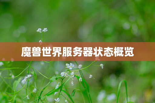 魔兽世界服务器状态概览