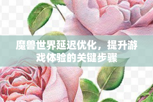 魔兽世界延迟优化，提升游戏体验的关键步骤