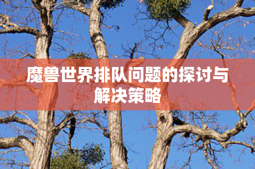 魔兽世界排队问题的探讨与解决策略 魔兽世界排队问题的探讨与解决策略