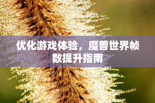 优化游戏体验,魔兽世界帧数提升指南 优化游戏体验,魔兽世界帧数提升指南