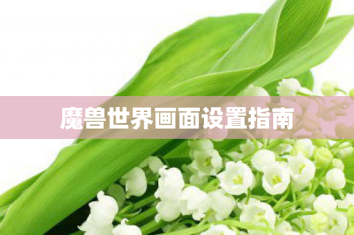 魔兽世界画面设置指南