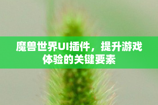 魔兽世界UI插件，提升游戏体验的关键要素